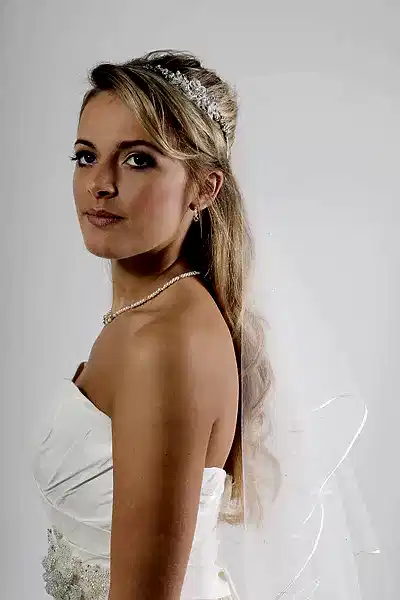 Bridal Apparel Crystal Scatter Cord Edge Veil || CGAC003