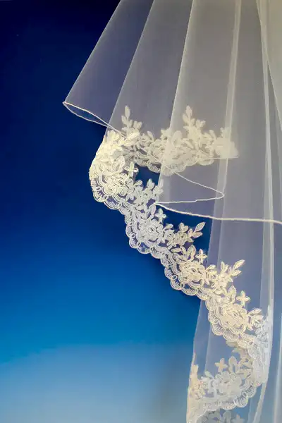 Bridal Apparel Corded Edge Lace Veil || CGAL050