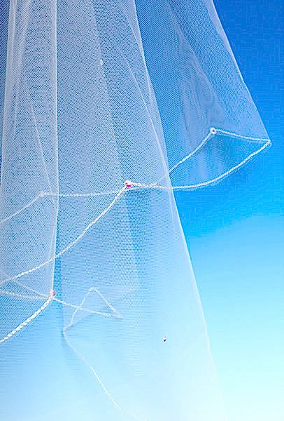 Bridal Apparel Crystal Scatter Veil || CGC185B