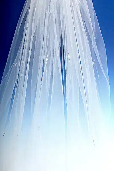 Bridal Apparel Silver Flower Scatter Veil || CGC318C