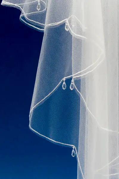 Bridal Apparel Crystal Drop Veil - CGC404B
