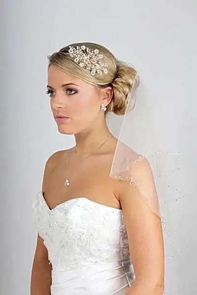 Bridal Apparel Crystal Drop Veil - CGC404C