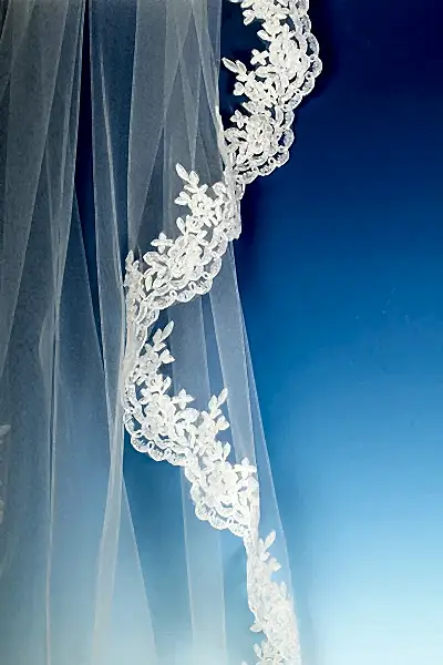 Bridal Apparel Corded Lace Edge Veil || CGC431C