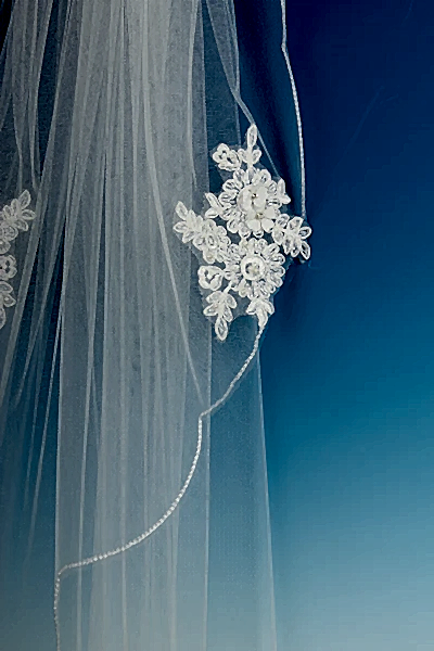Bridal Apparel Lace Applique Single Tier Veil || CGC464A