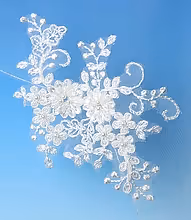 Load image into Gallery viewer, Bridal Apparel Beaded Lace Appliqué Veil || CGC507A
