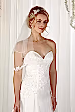 Load image into Gallery viewer, Bridal Apparel Crystal Drop Lace Veil || CGC528C
