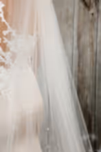 Load image into Gallery viewer, Bridal Apparel Pearl Scatter Veil || CGC566B
