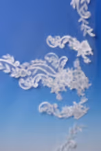 Load image into Gallery viewer, Bridal Apparel Statement Lace Veil || CGC568B
