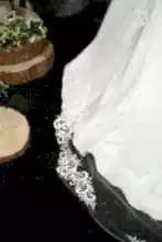 Load image into Gallery viewer, Bridal Apparel Swirl Lace Train Veil || CGC574B
