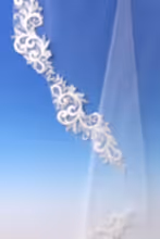 Load image into Gallery viewer, Bridal Apparel Swirl Lace Train Veil || CGC574B
