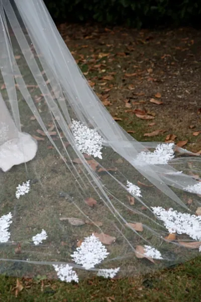 Bridal Apparel Lace Train Veil with Pearl || CGC575B