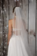 Load image into Gallery viewer, Bridal Apparel Glitter Tulle Veil || CGC577A
